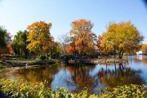 In-Home Care Services near Heckscher park in Huntington, NY